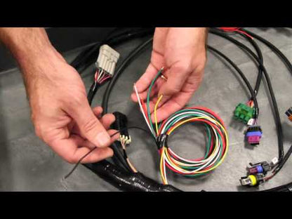 HP EFI ECU
