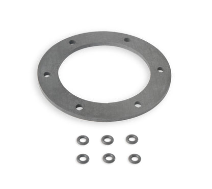 Fuel Pump Hanger Gasket and O-ring Kit