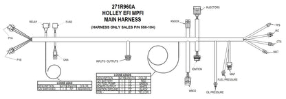 Universal FORD V8 Multi-Point Fuel Injection, Includes Bosch Oxygen Sensor, and Ford V8 Injector Harness.