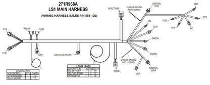 LS1/6 (24x/1x) Engine Main Harness