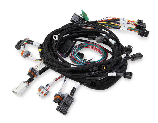 Ford 2V & 4V Modular Main Harness