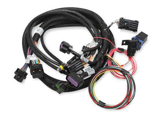 Terminator Stealth 2x4 MAIN HARNESS