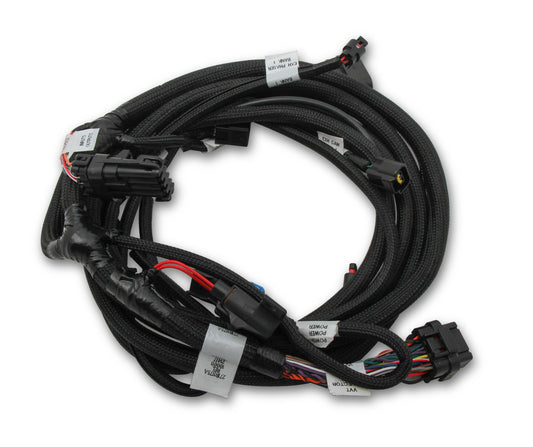 Holley EFI Ford Coyote Ti-VCT Sub Harness (2011-2012)