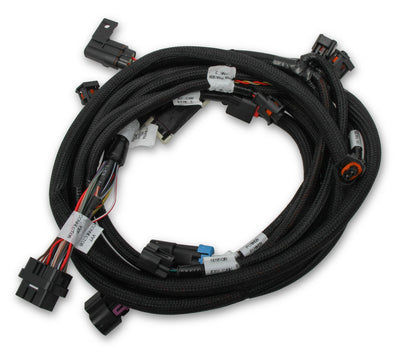 Holley EFI Ford Coyote Ti-VCT Sub Harness (2013-2017)