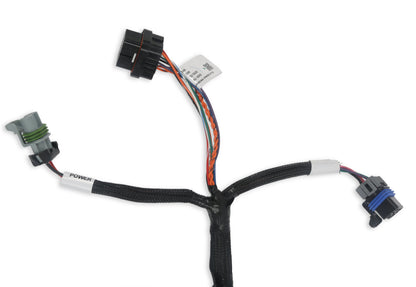 Holley EFI Benchtop Harness