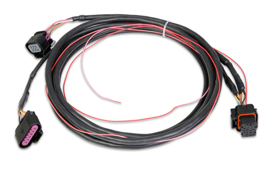 Dominator EFI GM Drive-By-Wire Harness