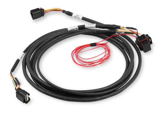 Ford Coyote (2011-2017) Drive-By-Wire Harness