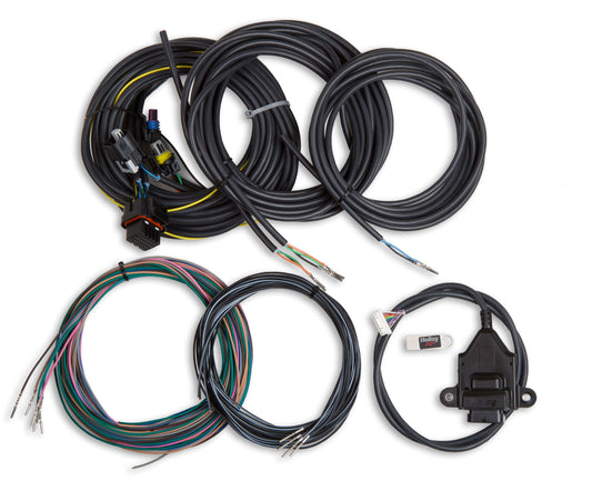 Digital Dash I/O Adapter w/Terminated Vehicle Harness