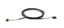 CAN Adapter Harness, 8'
