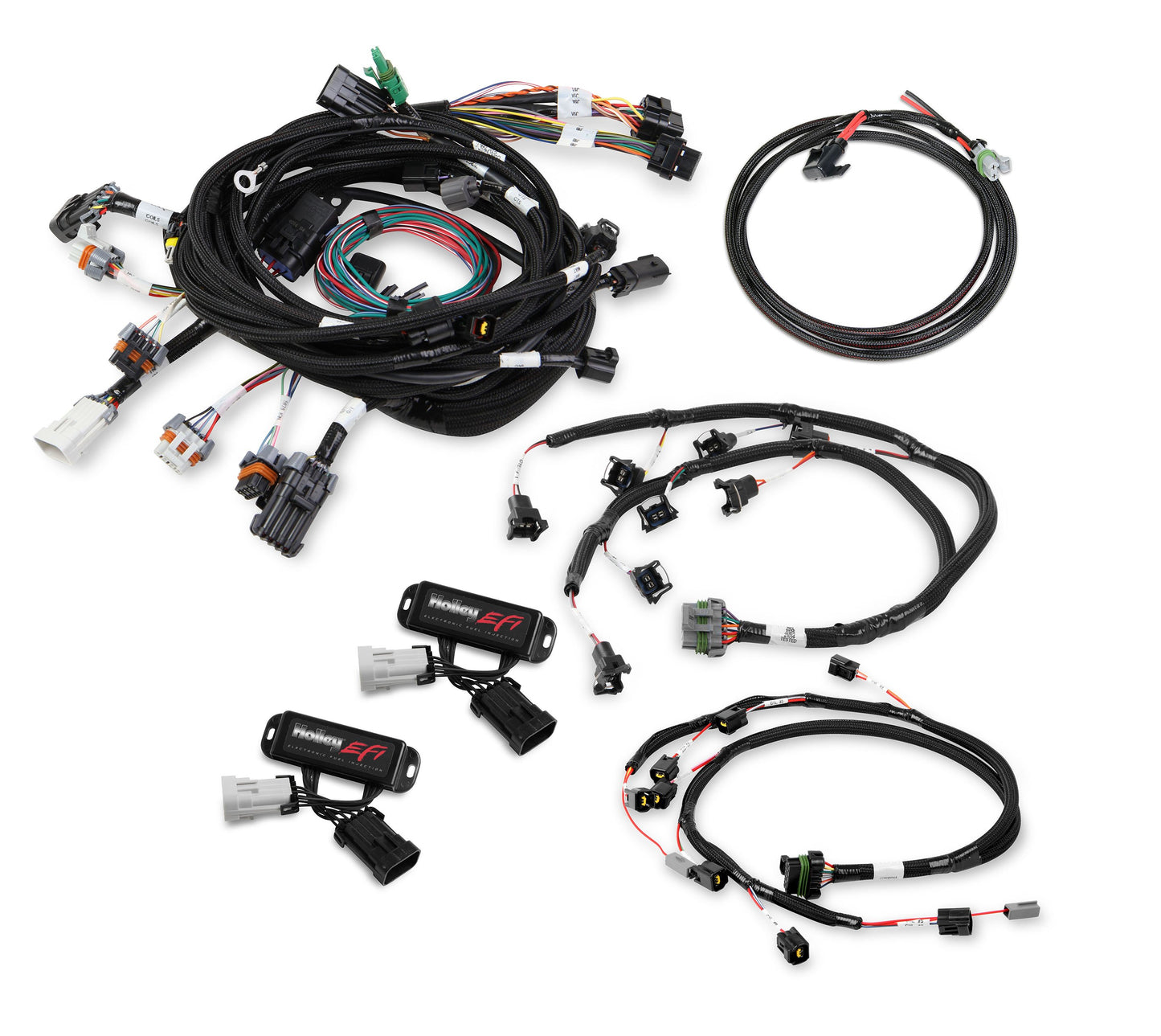 Ford Modular 2 Valve EFI Harness Kit