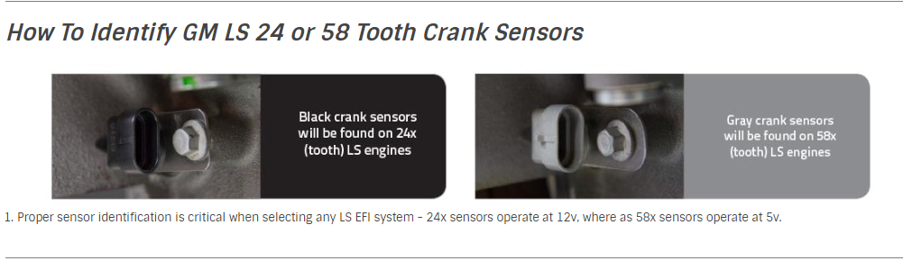 EFI Terminator X - GM LS1/LS6 - 24x Crank - 1x Cam - EV1 Injectors - 3.5 in. Touchscreen