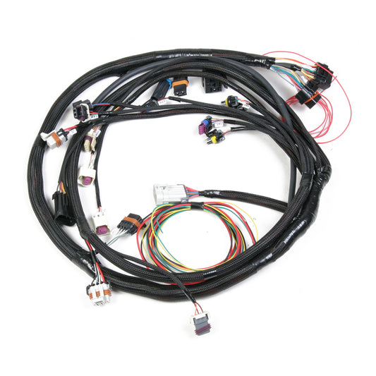 Universal MPFI Main Harness